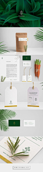 Concepts We Wish Were Real — The Dieline - Branding & Packaging Design…: 