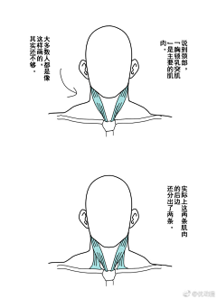 Orange-橙采集到人体