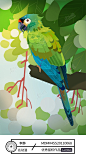 鹦鹉|原创|插画|装饰|动物|鹦鹉|鸟-网络进阶四期装饰性插画作品图片素材