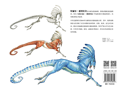 SWY-ART采集到【生物】动物解刨