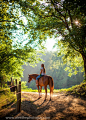 Sunrise Equine Shoot!