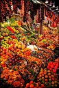 Barcelona's Boqueria Market...a feast for the senses and a must see in Barcelona