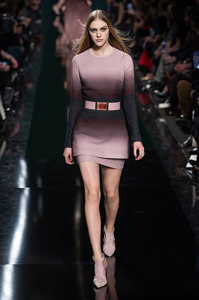 Elie Saab Fall-winte...