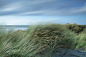 milouvision:

West Wittering 89
