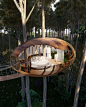 The nests cabins: Treehouse hotels designed by Veliz Arquitecto : Hotel complex located on the trees of a forest that are connected to each other by wooden suspension bridges and tensioners, all part of a central nucleus with a vestibule and a viewpoint r