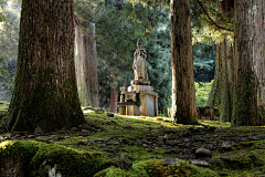 Jy-h采集到风景摄影