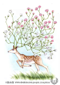 猫小蓟的相册-【自画】莫小鹿的鹿
—— 小鹿和满天星