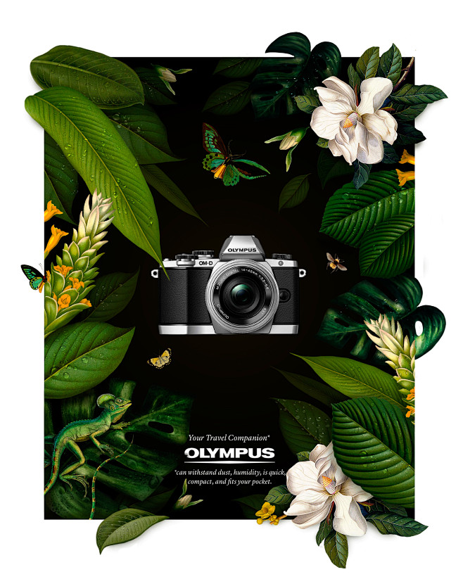 Olympus Travel : The...