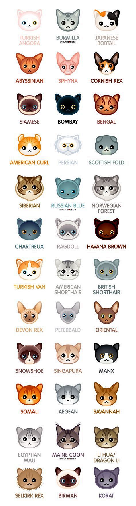 Kawaii cats by sahua...