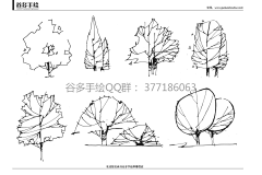 齐尚景观-庭院/文旅采集到景观设计手绘/线稿/手绘学习