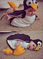 Penguin baby