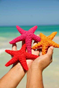 #SeaStars #BeautifulBeach #PerfectDay Experience it now here http://www.macaronisresort.com