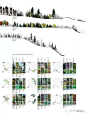 森林生态修复景观设计分析图
