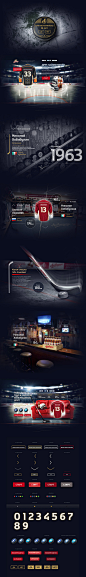 http://www.behance.net/gallery/Hockey/9076813