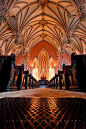 Beautiful Gothic Vaulted Ceiling