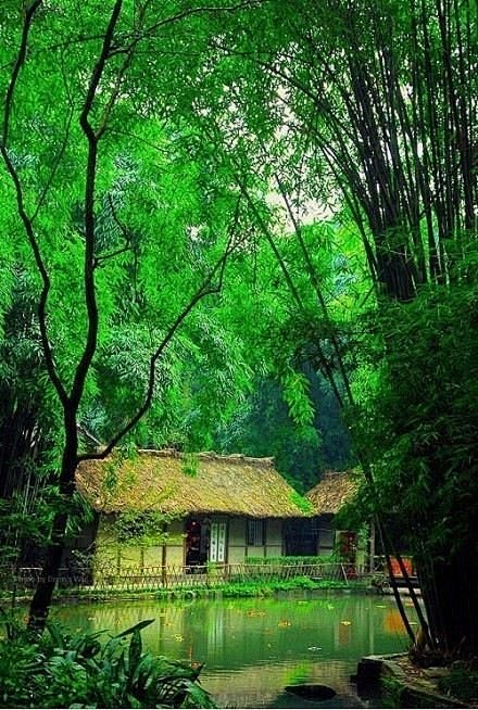 茅屋碧连天，归田只为禅