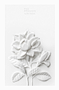 Paper Sculpture : White Thai Flowers : From papers to flowers.  