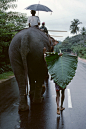 斯里蘭卡，1995年。 ​​​​