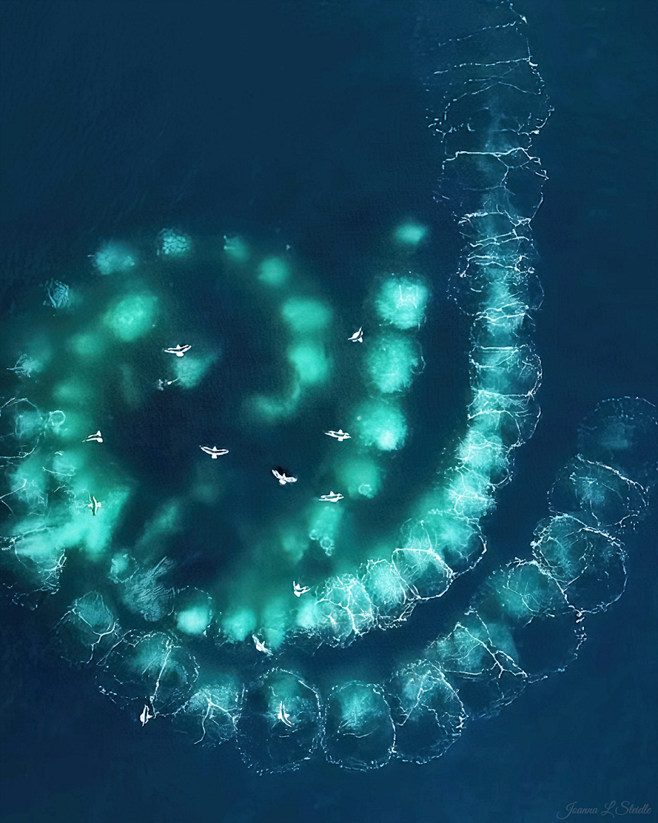 Spirals in the Sea