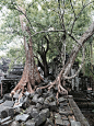 Beng Mealea