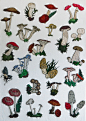 Yumiko Higuchi Embroidery Art -Gallery-