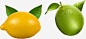 柠檬绿叶高清素材 柠檬 素材 绿叶 免抠png 设计图片 免费下载