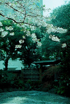 浅雪夏依采集到岁月静好