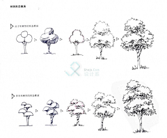 溪茈采集到手绘 花艺