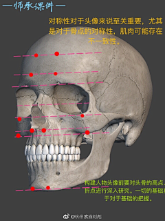 歪歪小汐然采集到角色/人体结构/游戏/肌肉/造型