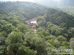 peak1采集到陇上行（四）：麦积山