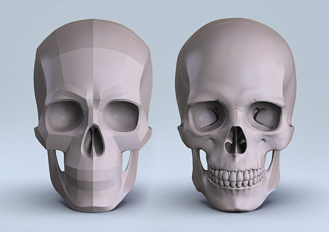 Planes of the Skull,...