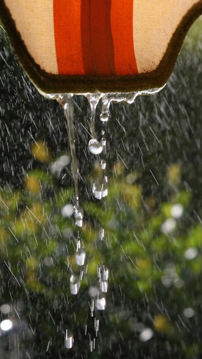 古雨有情