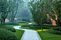 园路绿篱种植形式 —— 绿篱前留草坪            1、自然曲线式绿篱+草坪 ② 两层/多层绿篱
