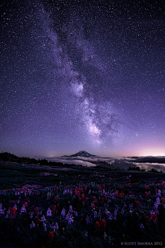 阿时采集到星空