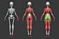 Stylized Female Anatomy Ecorche - FlippedNormals