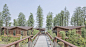 24_Metasequoia Wood Cabins by UAO