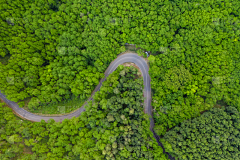 南风北雨采集到风景