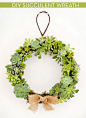 DIY Live Succulent Wreath - http://diyideas4home.com/2013/12/diy-live-succulent-wreath/
