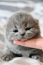 Cute Little Face.: 