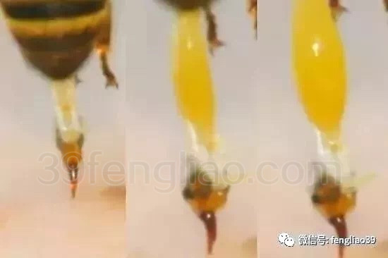 f27e5f0d45ea166541f776b85d65385fc36315038c69-vKrdqu