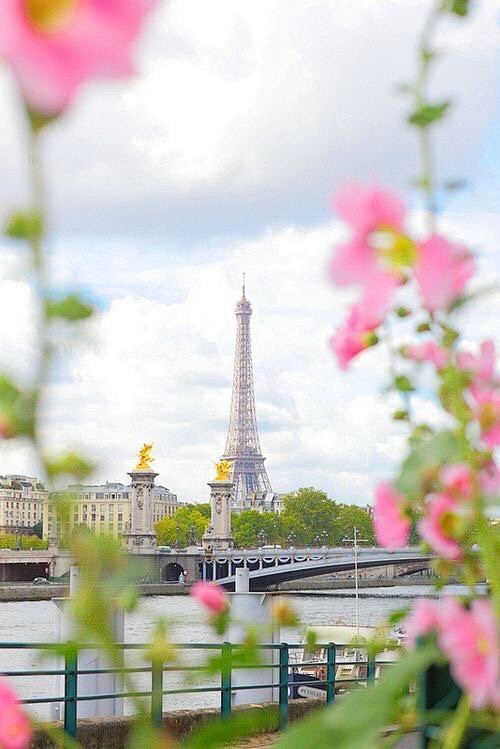 巴黎的春天。法国 #法国#