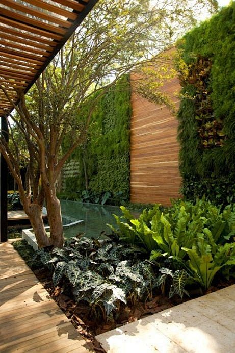 花园庭院垂直绿化景观墙意向图