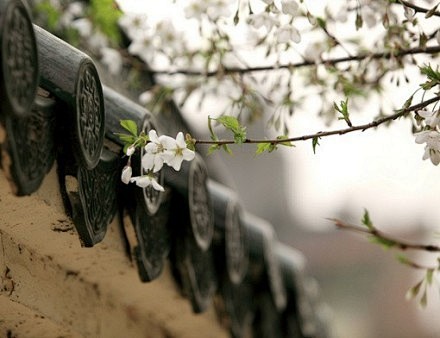 多少黄昏烟雨斜檐，翻开诗篇，勾起了一纸江...