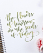 Beautiful quote - the flowers of tomorrow are the seeds of today.