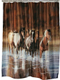 Rush Hour Horse Shower Curtain with Rings - Western Rodeo Equestrian Decor: 