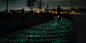 Image result for glow path