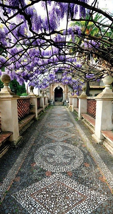 紫藤覆盖的通道在蒂沃丽花园伊斯特别墅，意...