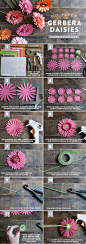 DIY Paper Gerbera Daisies: