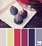 Design Seeds® | for all who ❤ color | produced palette #色彩#