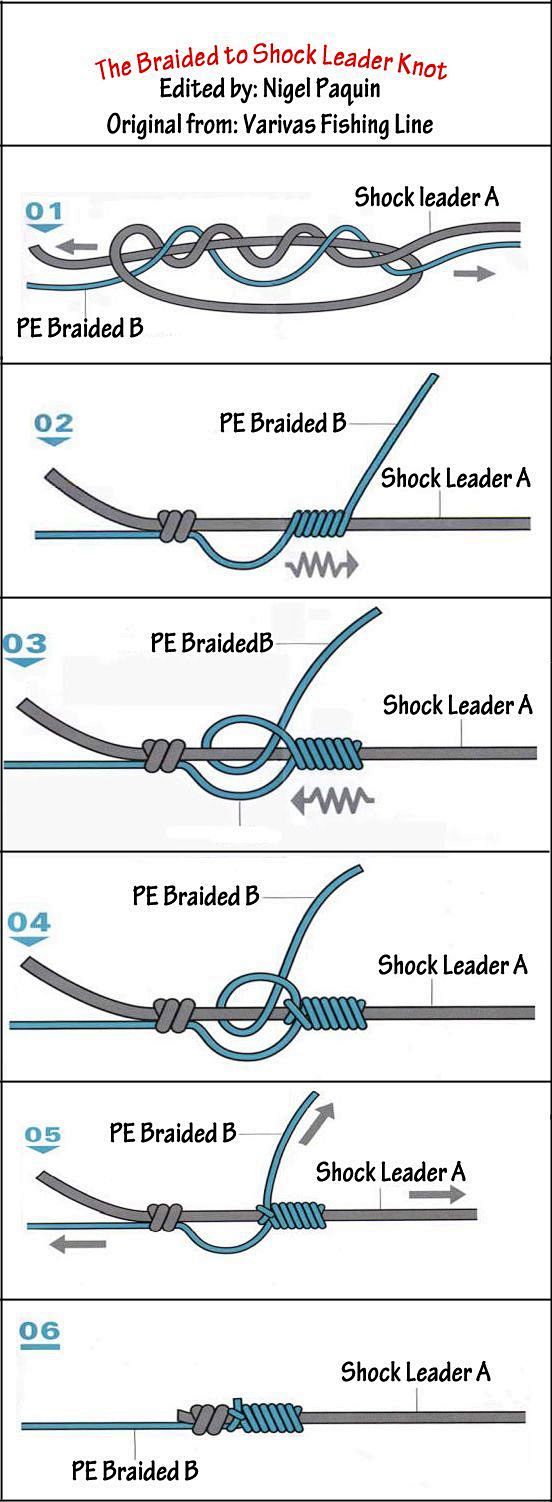 The braided shock le...